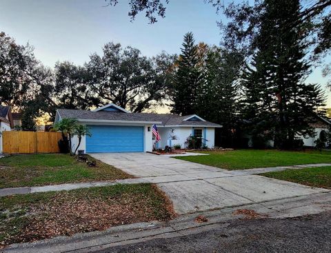 A home in TAMPA