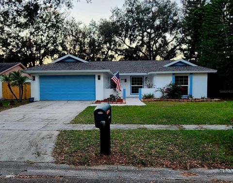 A home in TAMPA