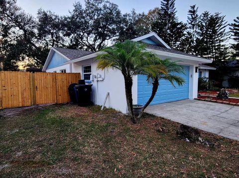 A home in TAMPA