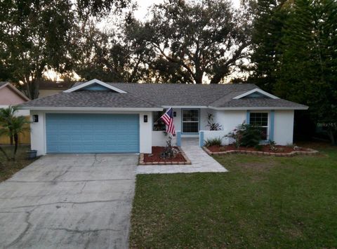 A home in TAMPA