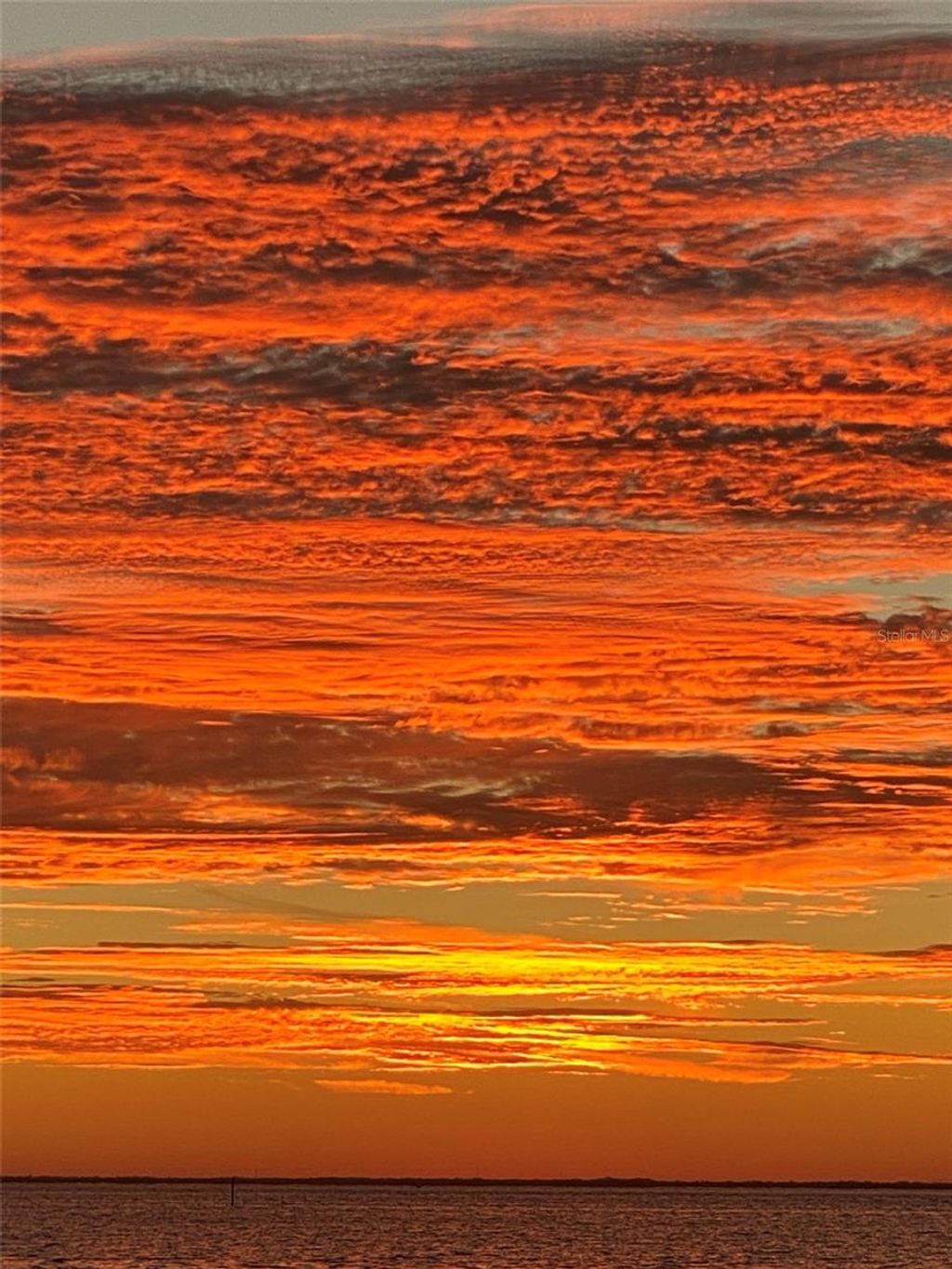 Photo of 200 Colony Point Road S, St Petersburg, FL 33705 (MLS # O6234302)