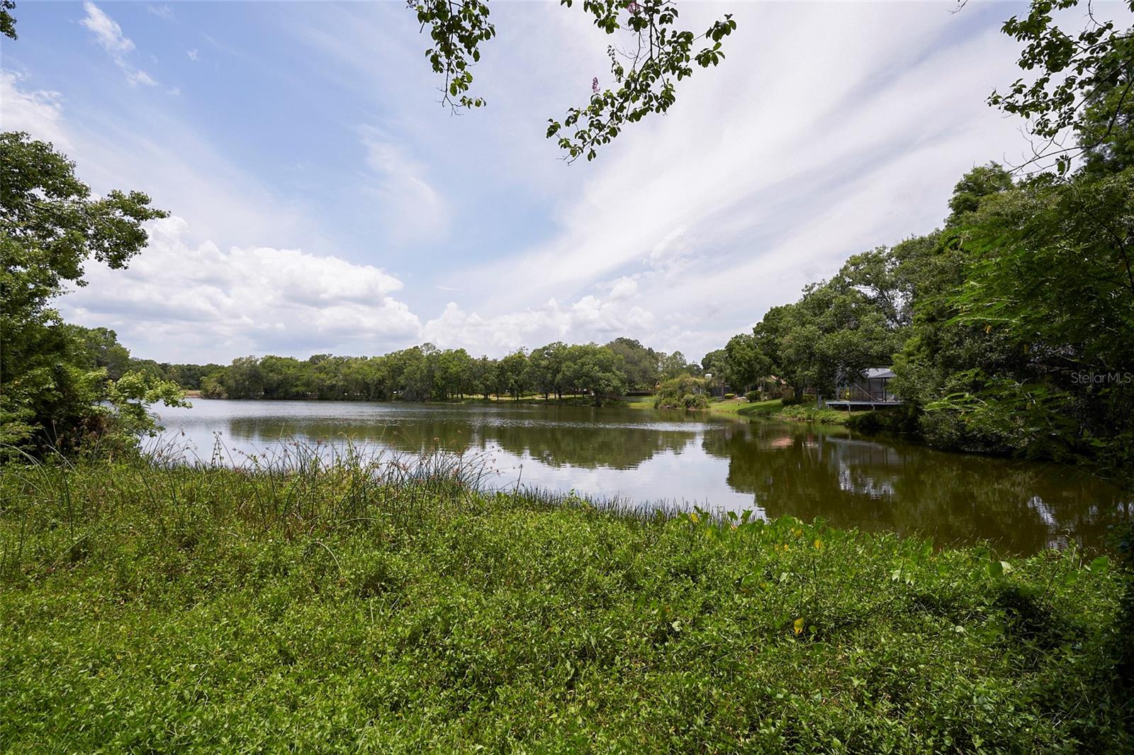 RAINTREE MANOR HOMES CONDOMINI - Residential