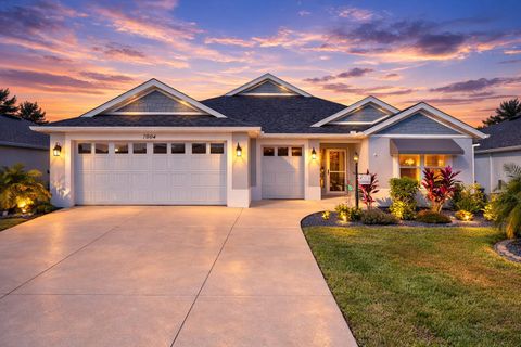 Photo of 7004 Minchew Circle, The Villages, FL 34762 (MLS # G5106156)