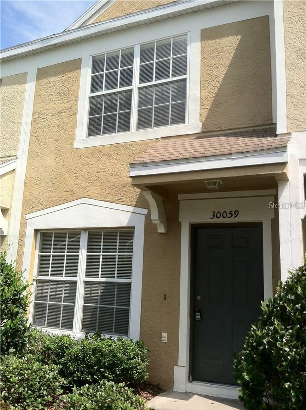 Photo of 30059 Granda Hills Court, Wesley Chapel, FL 33543 (MLS # TB8495403)