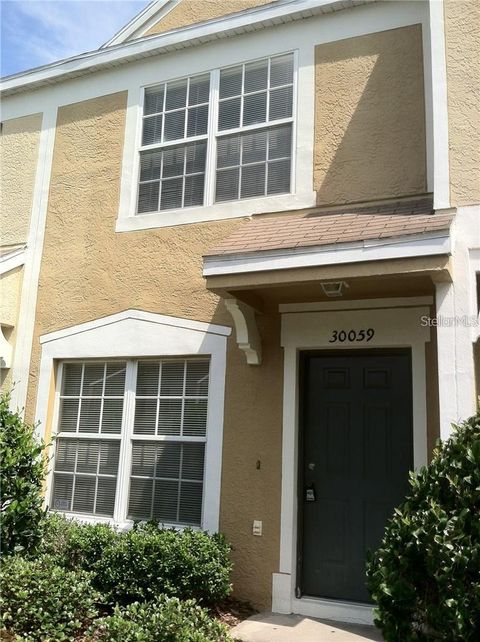 Photo of 30059 Granda Hills Court, Wesley Chapel, FL 33543 (MLS # TB8495403)