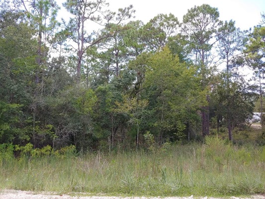 SE 150TH AVE, MORRISTON, FL 32668 - Image 4dfaf14d9fa5c314a7e684873deb4e5d/853460485