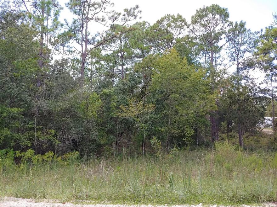 Excellent investment opportunity in a rapidly growing area. This 1.34-acre R-4 zoned lot offers incredible potential for residential development, making it ideal for builders, investors, or anyone looking to take advantage of the area's strong growth and demand for housing. The property provides ample space and flexibility for future projects and is located near major roads, shopping, restaurants, and everyday conveniences. With continued expansion and development happening throughout the area, this property represents a valuable opportunity to build now or hold as a long-term investment. Don’t miss the chance to secure land in one of the fastest-growing areas with great potential for appreciation.
