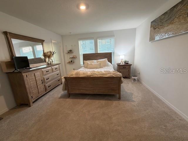 5909 BISCOTTI STREET