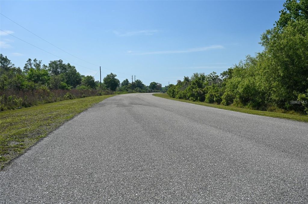 Photo of 41005 11th Avenue E, Myakka City, FL 34251 (MLS # A4658811)