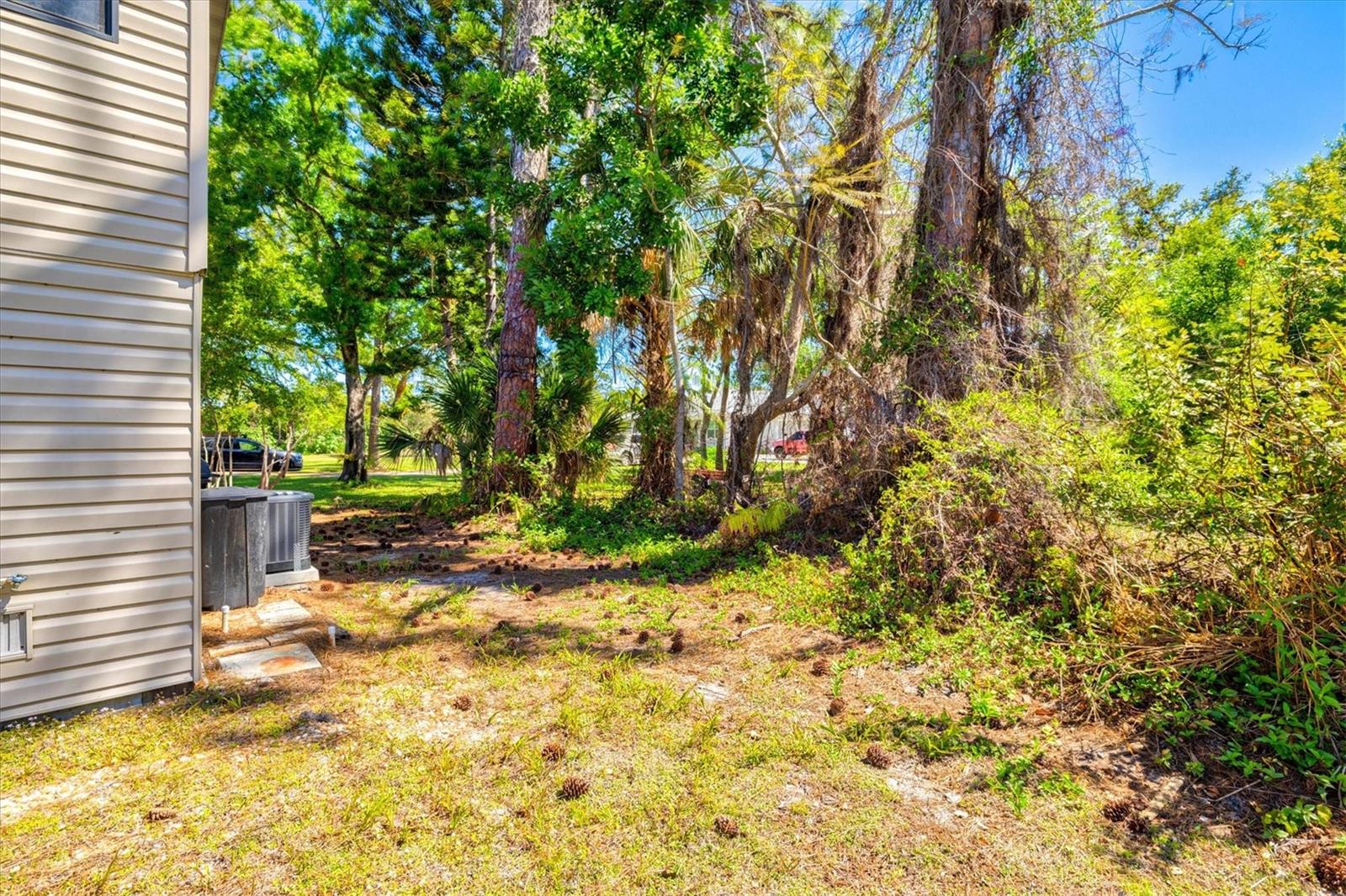 ACREAGE & UNREC - Residential