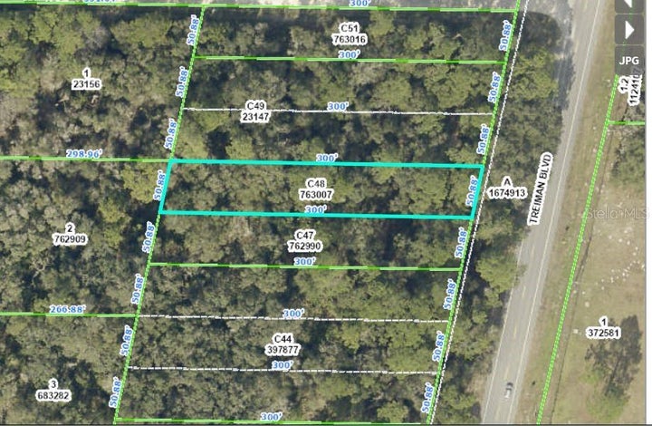 Photo 1 of 5 — TREIMAN BOULEVARD, WEBSTER, FL 33597