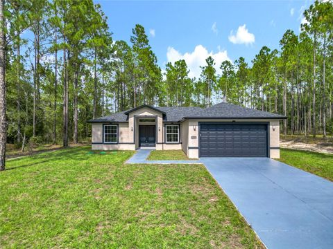 Photo of 1599 W G Martinelli Boulevard, Citrus Springs, FL 34434 (MLS # A4665427)