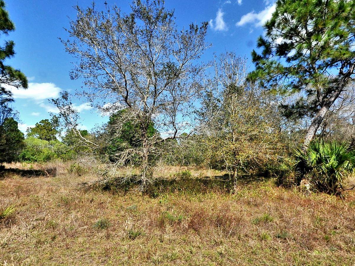 Opportunity to build on this .24-acre lot. Not in a flood zone, no HOA or CDD fees. Your piece of paradise.