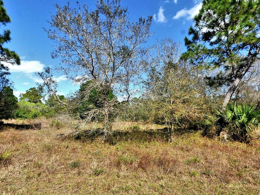 Opportunity to build on this .24-acre lot.  Not in a flood zone, no HOA or CDD fees.  Your piece of paradise.