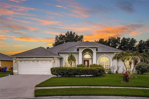 Photo of 3806 Opal Circle, Saint Cloud, FL 34772 (MLS # G5113979)
