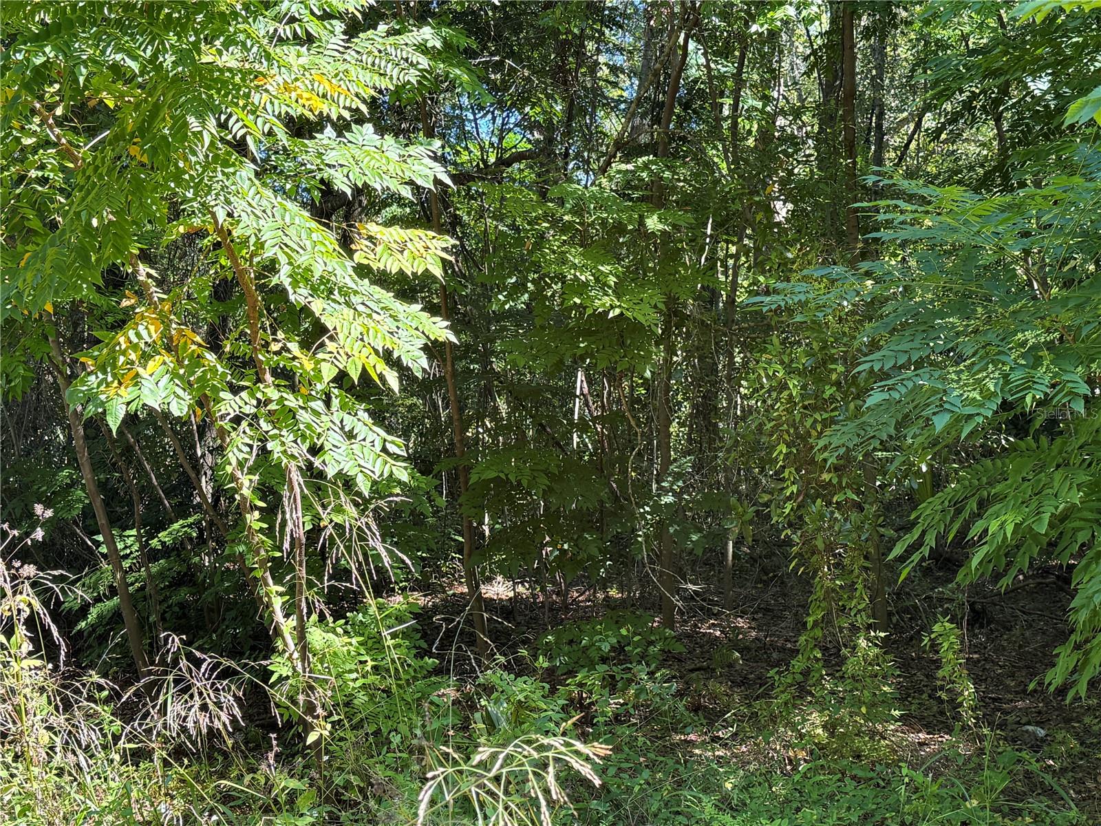 INVERNESS HIGHLANDS UNIT 04 - Land