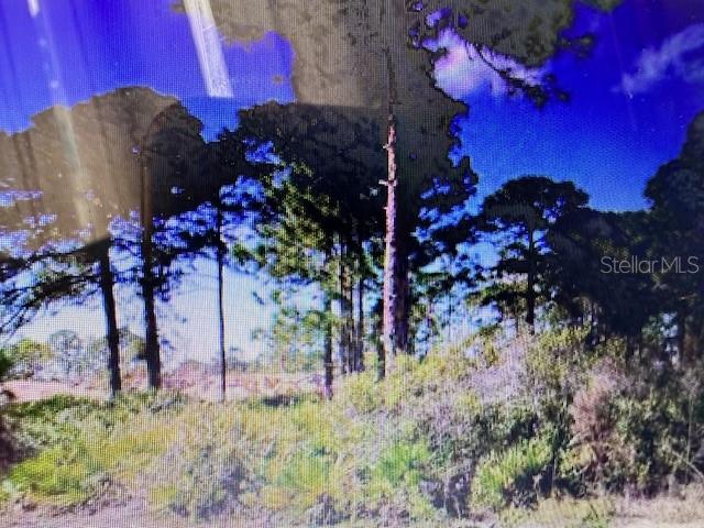 0 S TOLEDO BLADE BOULEVARD N