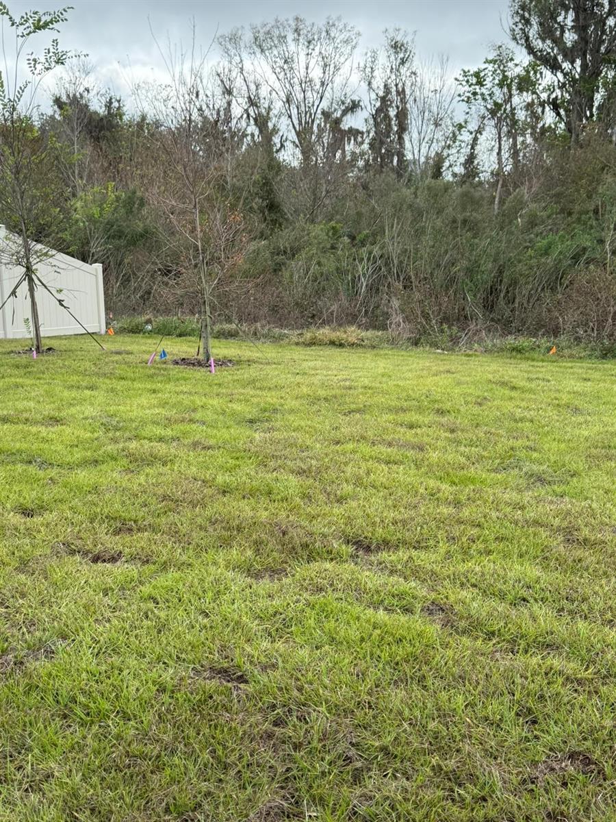 NORTH PK ISLE PH 2B & 3A - Residential Lease