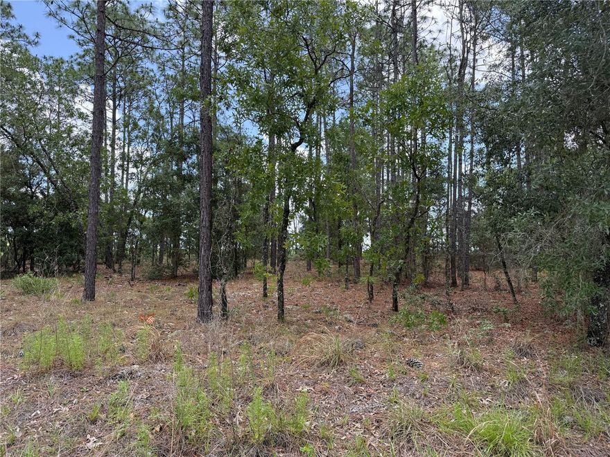 Nestled within the serene beauty of Rainbow Lakes Estates, this expansive 33-acre lot offers the perfect canvas for your dream home. Escape the hustle and bustle with no HOA restrictions while still enjoying the convenience of being just a short drive to downtown Dunnellon’s charming shops, delicious dining, and essential services. With easy access to Ocala and the renowned World Equestrian Center, this prime location blends tranquility with accessibility. Whether you're envisioning a custom oasis or a peaceful retreat, this lot is ready to make your dreams a reality. Don’t wait—bring your vision to life today!