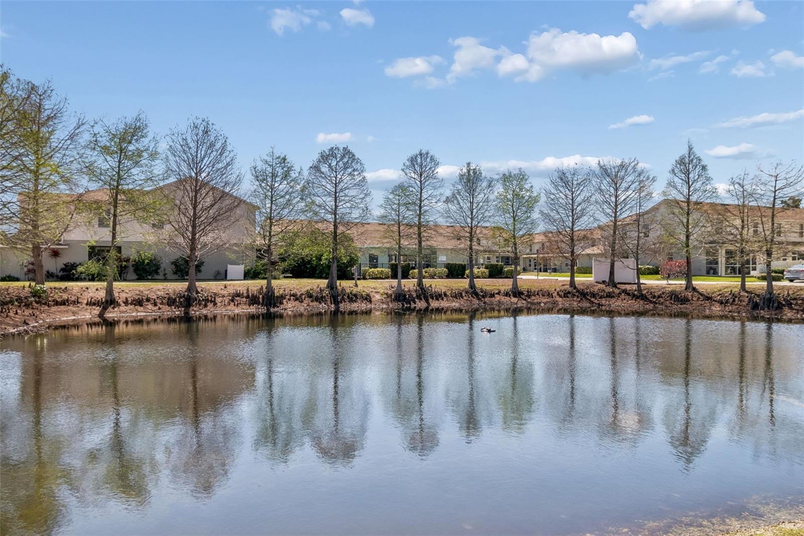 HERITAGE OAKS TWNHMS - Residential