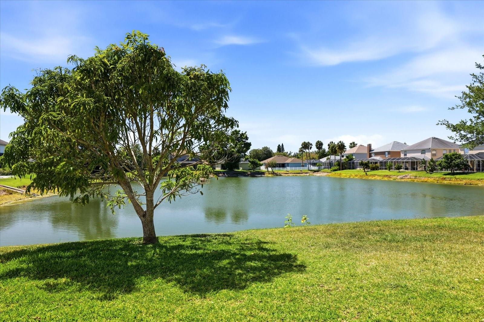 COVERED BRIDGE ESTATES PH 1 - Residential