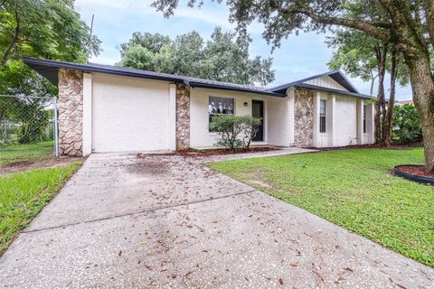 A home in SEFFNER