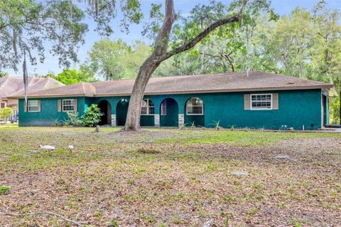 A home in KISSIMMEE