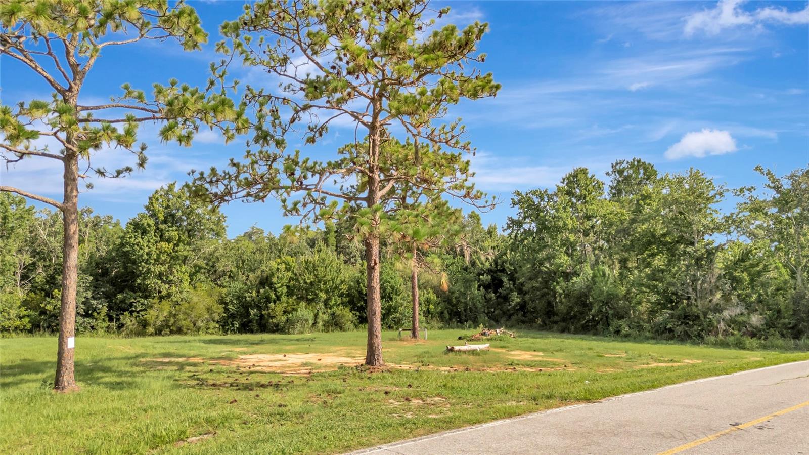 4541 COUNTY ROAD 561