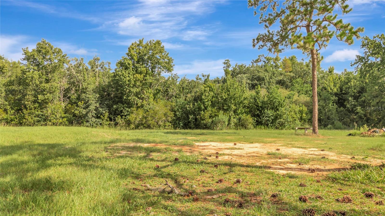 4541 COUNTY ROAD 561