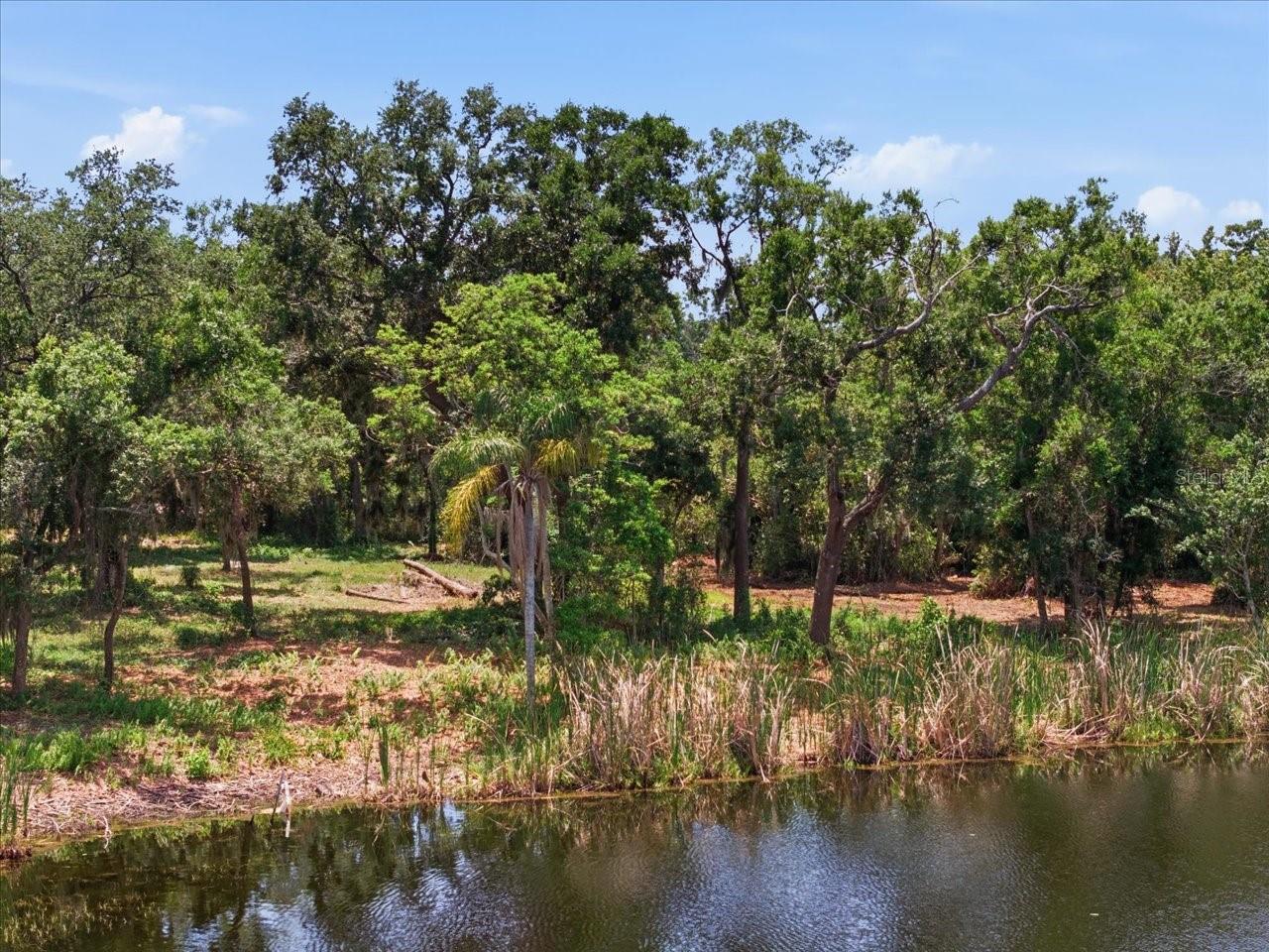 UNPLATTED - Land