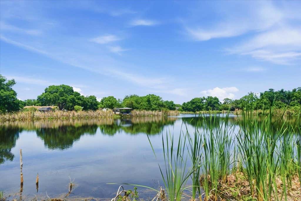 Photo of 8901 S Mobley Road, Tampa, FL 33626 (MLS # TB8506627)