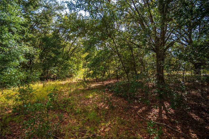 Great vacant buildable lot. Not in a flood zone, R1 is for single-family homes. On a paved road just a short drive to Lake Wier, the Ocklawaha River and Ocala. Call for more information!