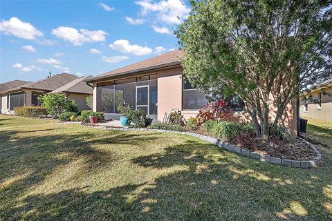 A home in MOUNT DORA