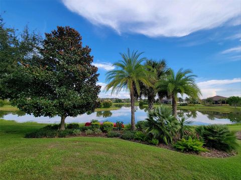 A home in MOUNT DORA