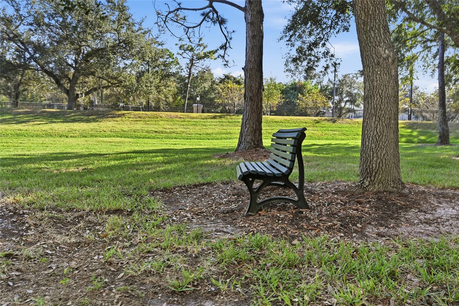 SERENADE ON PALMER RANCH - Residential