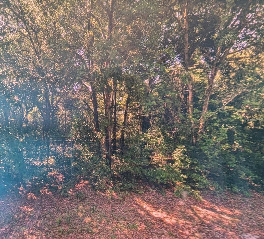 Build your dream house on this beautiful lot in Citrus Springs. Lot is 1/4 acre, high and dry and close to all conveniences. Easy access to US 41 and close proximity to outdoor recreation, including Rainbow Springs State Park, Citrus Springs Golf & Country Club. Numerous preserves and waterways. Super location.
Perfect opportunity to build now or invest for future use..