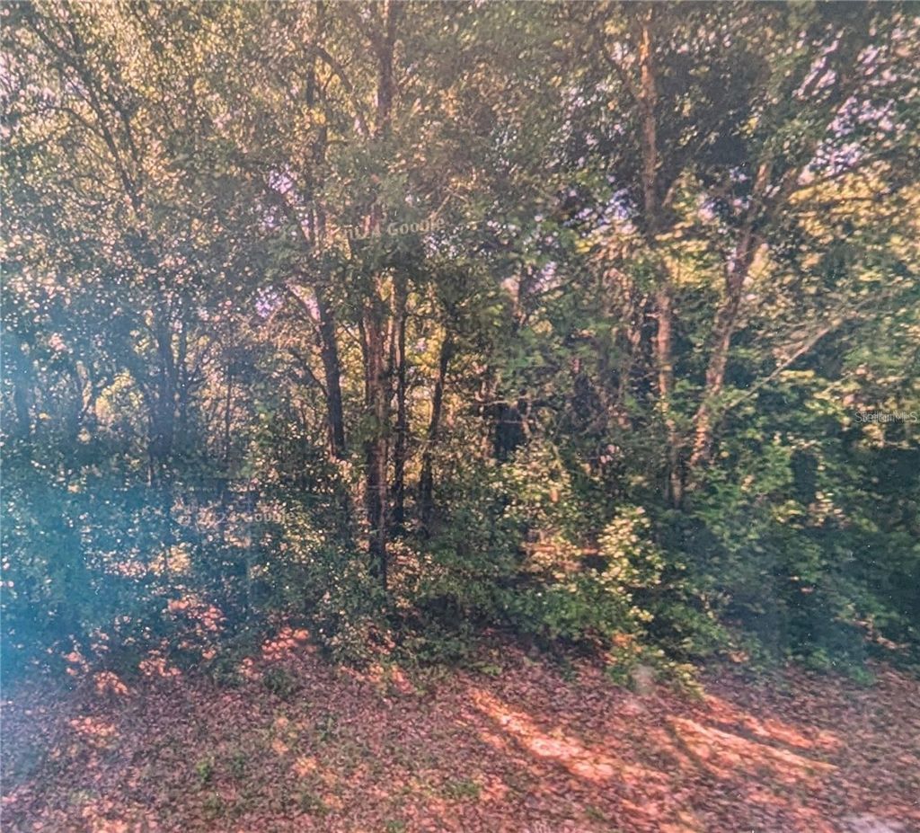 Photo of 8973 N Bee Way, Dunnellon, FL 34434 (MLS # O6371918)