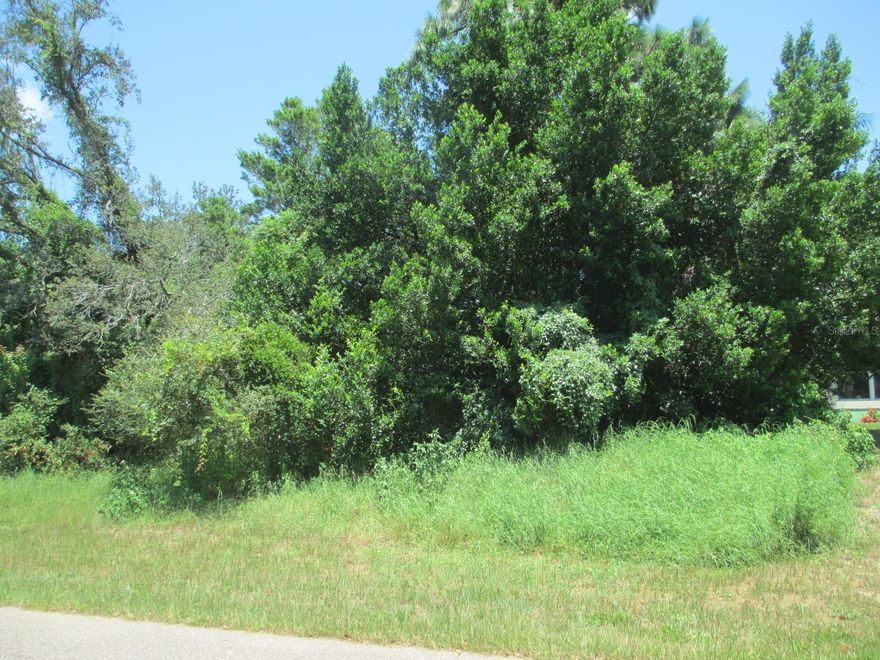 Beautiful wooded building site in well-established neighborhood. Established trees. Close to shopping and restaurants. Being sold as is.