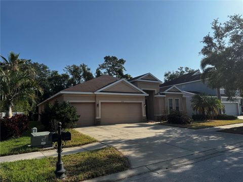 10212 HOLLAND ROAD RIVERVIEW FL 33578