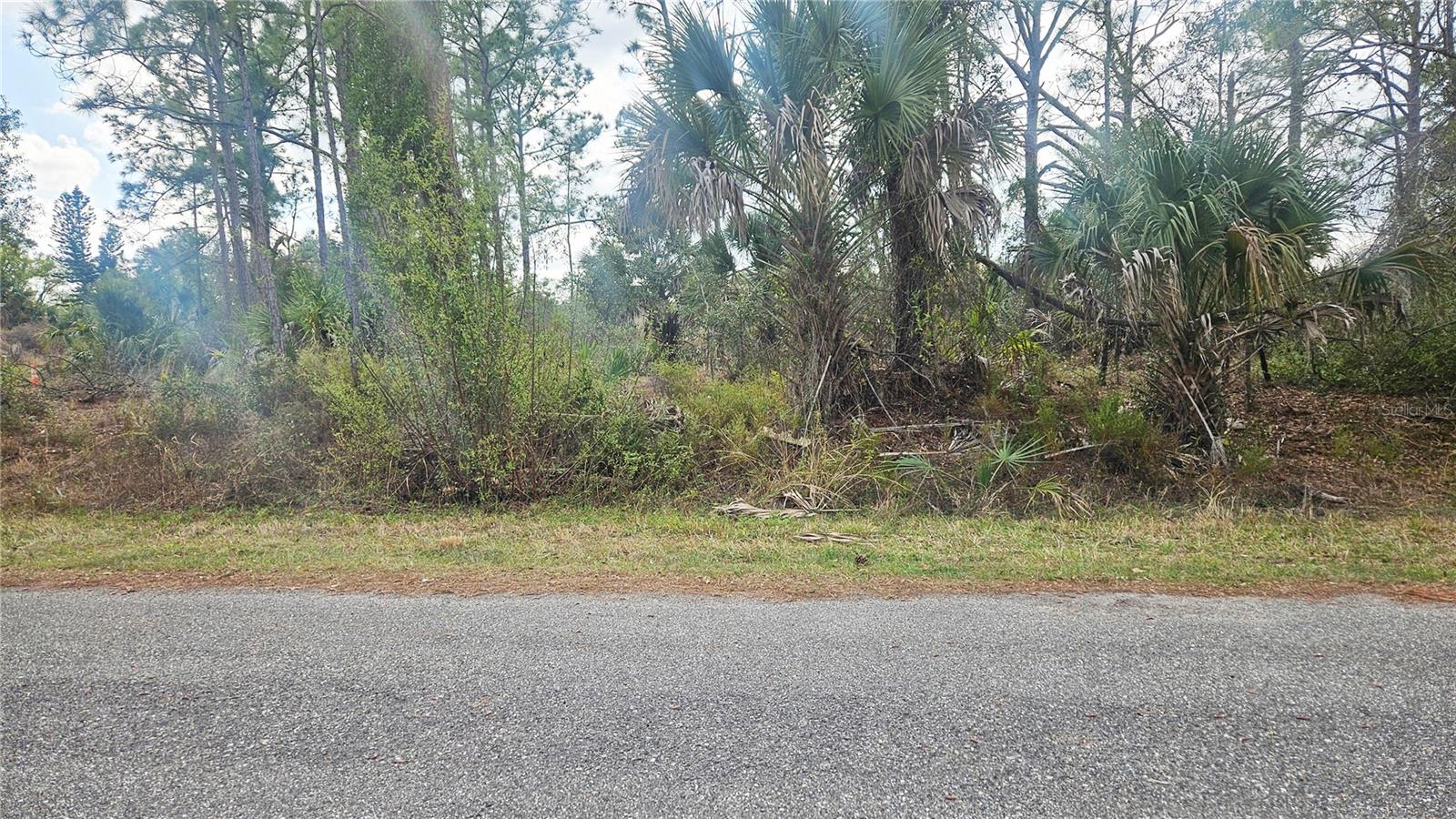 GAINSBORO LOTS 8 & 9 STREET