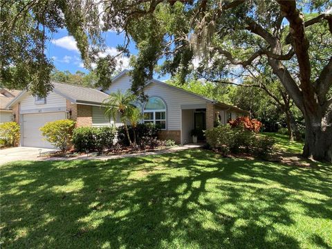 A home in PALM HARBOR