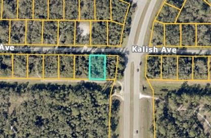 Welcome to your blank canvas in the heart of North Port, Florida! This vacant lot offers an incredible opportunity to build your dream home in one of the fastest growing areas of Southwest Florida. Located in a peaceful neighborhood just off I-75, this property is surrounded by lush greenery and offers a sense of tranquility while being conveniently close to urban amenities. You'll enjoy easy access to shopping, dining, and recreational activities, with nearby parks, golf courses and the stunning Gulf Coast beaches just a short drive away.