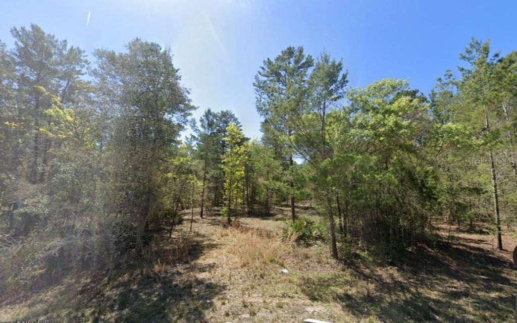 Photo of 835 Deerwood Avenue, Perry, FL 32348 (MLS # A4693707)