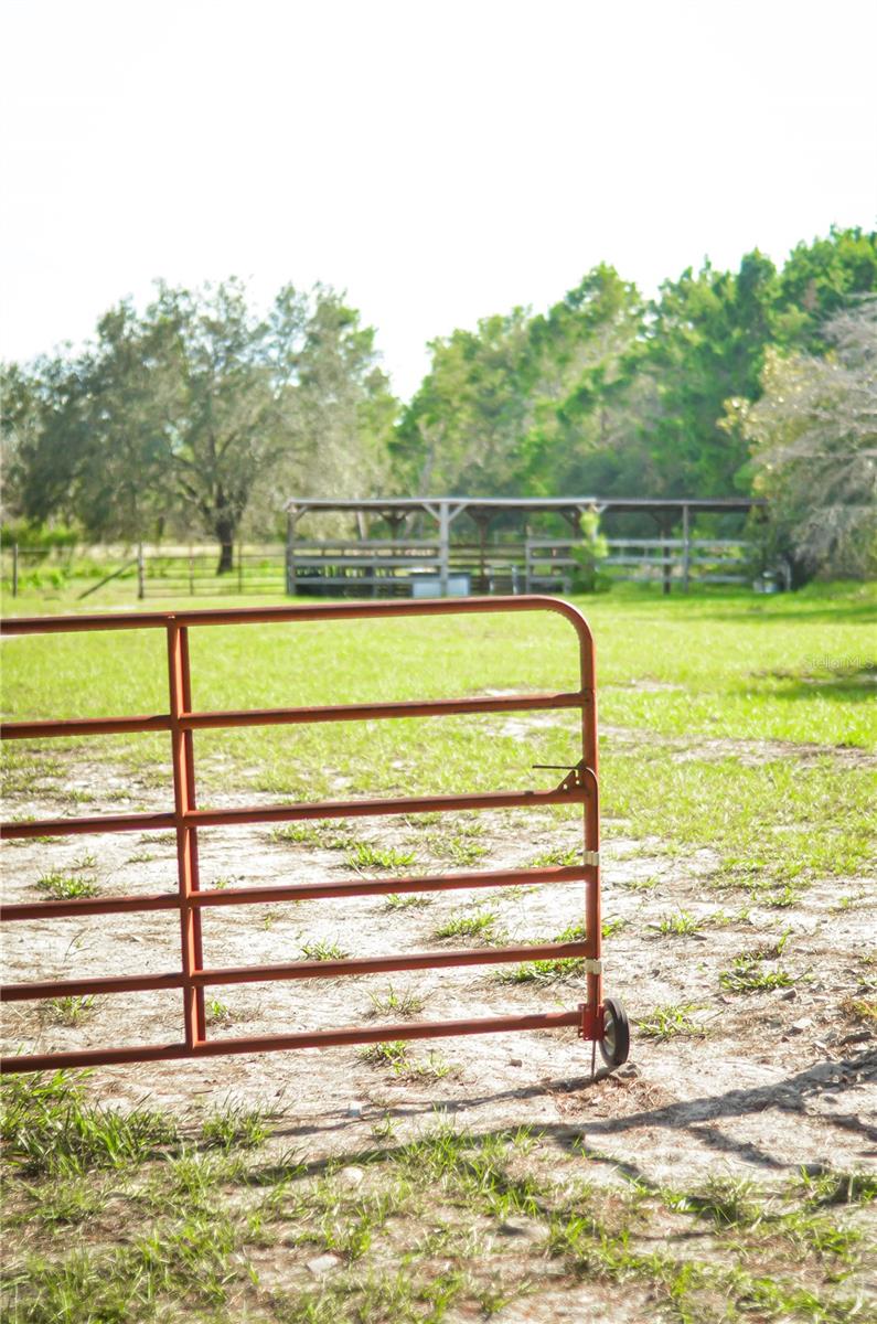 NOT IN SUBDIVISION - Residential