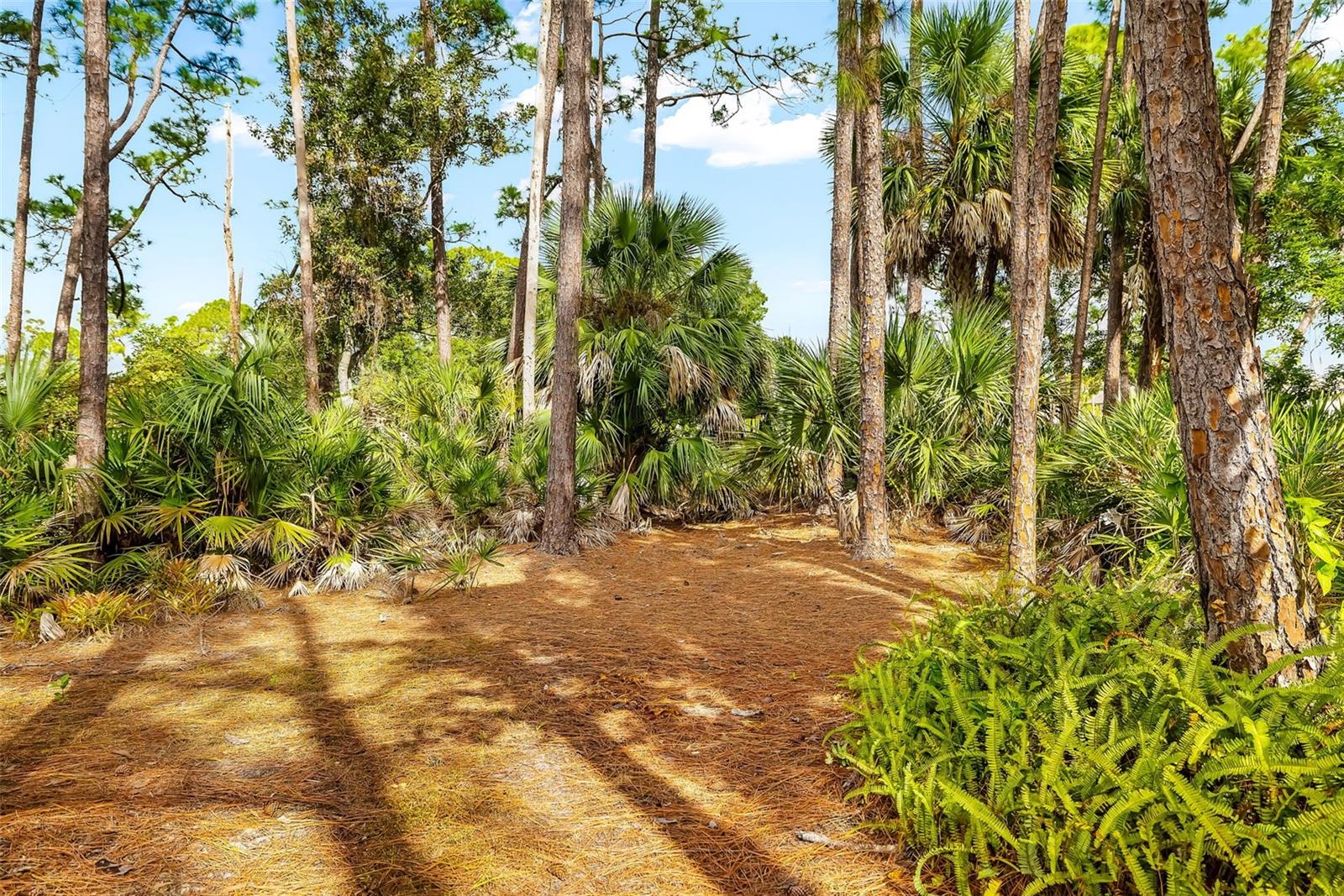 CHANDLERS FORDE - Residential