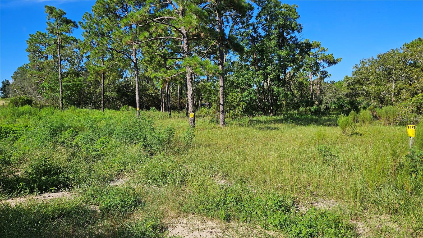 *** Owner Financing Available *** Mobile lot, out of the flood zone with No Deed Restrictions. Tiny homes and Barndominium okay.
