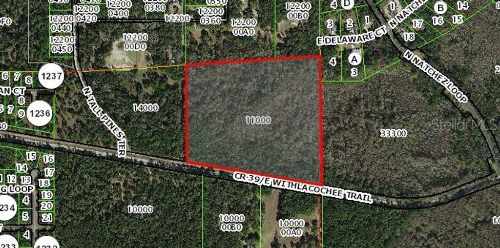 Photo of 1785 E Withlacoochee Trl, Dunnellon, FL 34434 (MLS # OM713891)