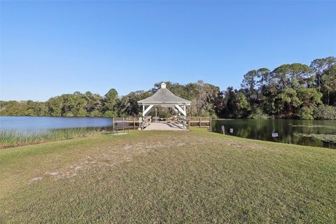 A home in TAVARES