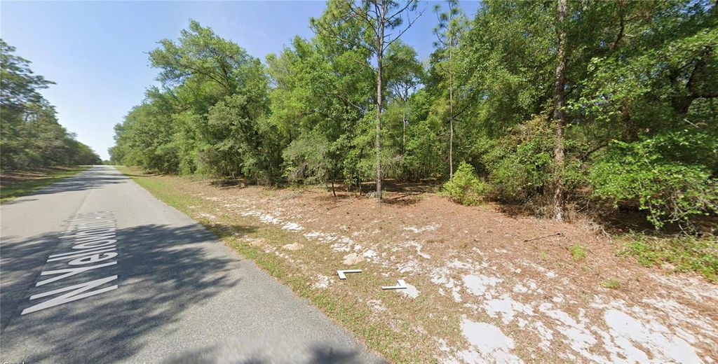 Photo of 8374 N Yellowbird Avenue, Dunnellon, FL 34434 (MLS # O6337064)