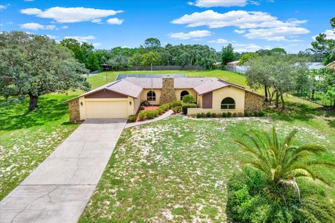 A home in SPRING HILL